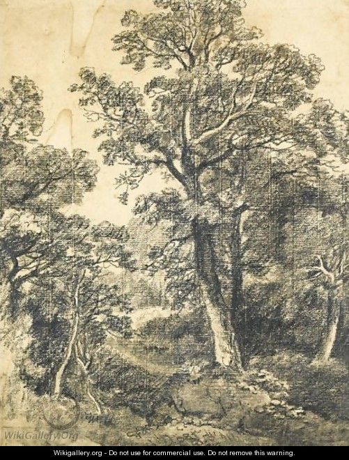 A Wooded Landscape, East Bergholt - John Constable