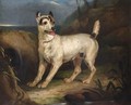 Portrait Of A Terrier In A Landscape - (after) Henry Bernard Chalon