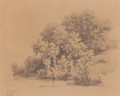 Baume Am Wasser, 1852 Trees At The Shore, 1852 - Robert Zund