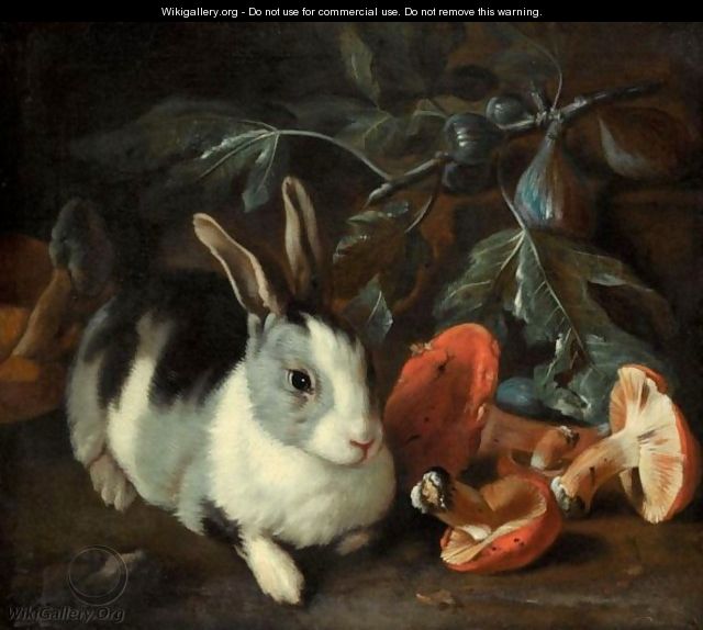 A Forest Floor With A Rabbit And Mushrooms - Franz Werner von Tamm
