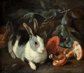 A Forest Floor With A Rabbit And Mushrooms - Franz Werner von Tamm