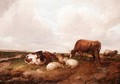 Cattle And Sheep Grazing 2 - Thomas Sidney Cooper