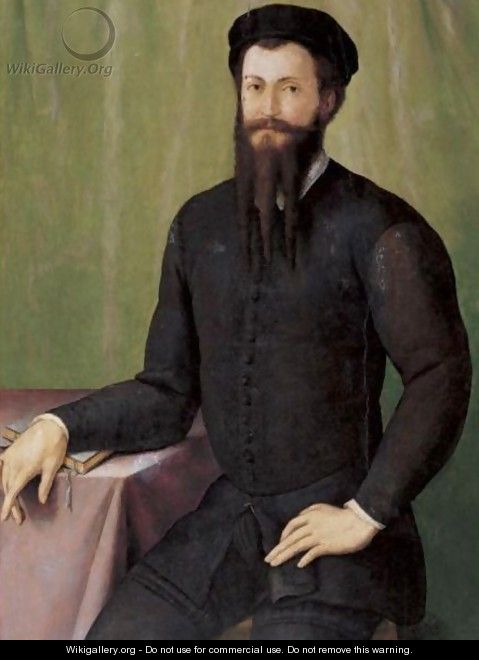Portrait Of A Gentleman - Pier Francesco Di Jacopo Foschi