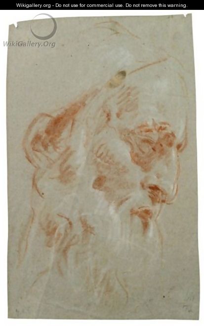 Testa Di Vecchio Barbuto Rivolta Verso Destra - Giovanni Battista Tiepolo
