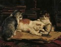 Time On Their Paws - Charles van den Eycken