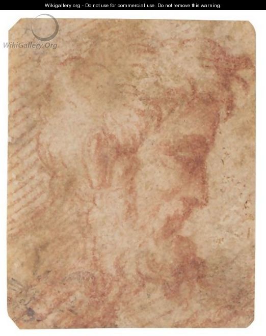 Head Of A Bearded Man In Profile To The Right - Girolamo Francesco Maria Mazzola (Parmigianino)