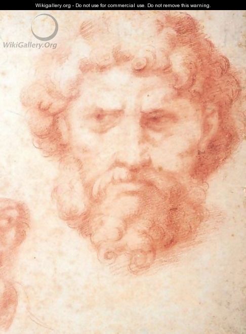 Study Of The Head Of A Bearded Man - Michele Da Parma (see Rocca)
