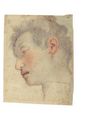 Study Of A Head - (after) Santi Di Tito