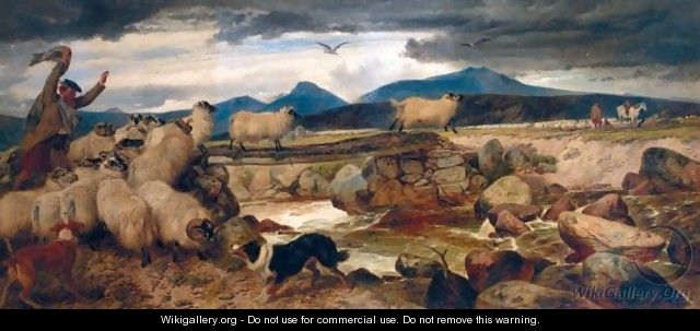 Sheep Gathering In Strathspey - Richard Ansdell