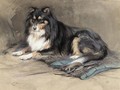 A Collie - Edwin Alexander