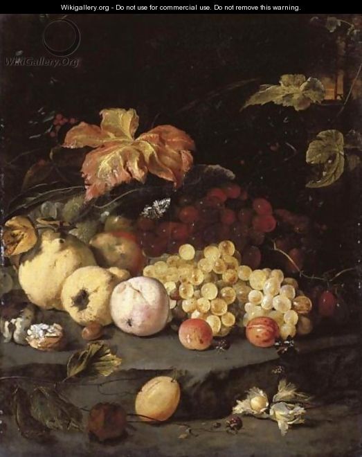 Still Life With Summer Fruits Including Apples, Grapes, A Peach, A Plum, Blackberries, Hazelnuts, Walnuts And Other Objects - Jan Weenix