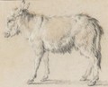 Study Of A Donkey - Jean-Baptiste Huet