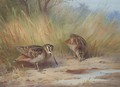 A Pair Of Woodcock - Archibald Thorburn