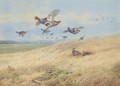 Grey Partridges In Flight - Archibald Thorburn