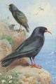 A Rock Starling And A Common Chough - Archibald Thorburn