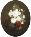 Red And White Roses - James Stuart Park