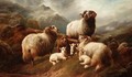 Sheep In The Highlands - Robert Watson