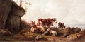 Cattle Grazing - Edmund Mahlknecht