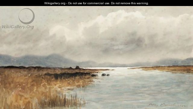 A Peat Bog, Ireland - William Percy French