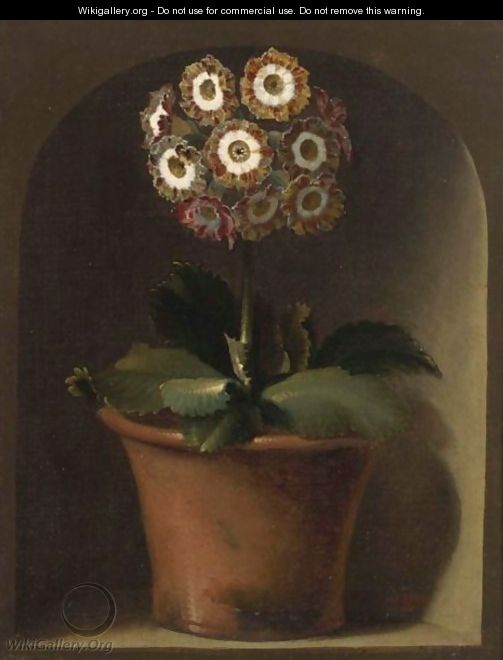 An Auricula In A Pot In A Niche - (after) Gerard Van Spaendonck