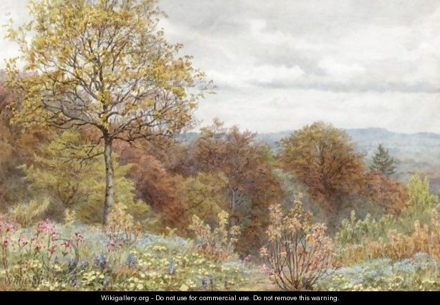 A Copse On The Slope Of Blackdown, Dorsetshire - Edith Martineau