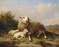 A Sheep And Two Lambs Resting In A Summer Landscape - Eugène Verboeckhoven