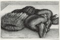 Muff And Fur Stole (Pennington 1947) - Wenceslaus Hollar