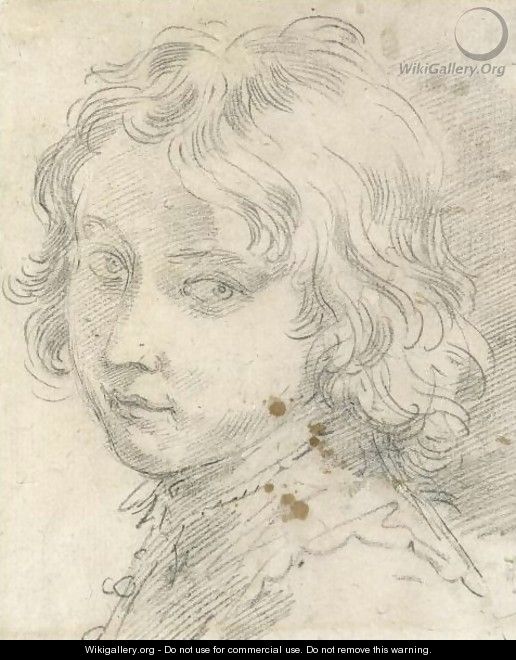 Head Of A Young Boy - Donato Creti
