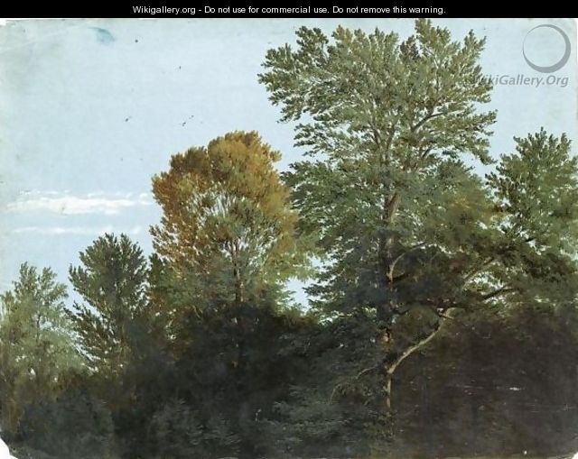 A View Of Woodland - (after) Heinrich Reinhold