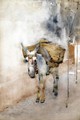 The Arab Donkey - Arthur Melville