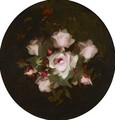 Pink Roses 2 - James Stuart Park