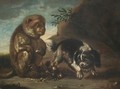 A Monkey Eating Hazelnuts With A Dog Prancing - David de Coninck