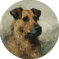 Terrier - John Emms