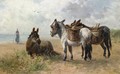 Donkeys On The Beach - Henry Schouten