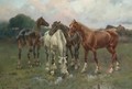 Caballos (Horses) - Josep Cusachs y Cusachs