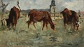 Vaches Au Paturage - Edouard Manet