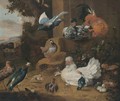 Hens, Chickens, A Pigeon And A Lapwing In A Garden Landscape - (after) Melchior De Hondecoeter
