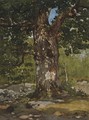 Un Chene Au Bas-Breau, Le Bodmer - Claude Oscar Monet