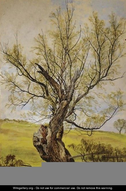 An Ancient Willow In The Grounds Of Hermitage Castle, Roxburghshire - Waller Hugh Paton