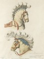 Study Of Napoleon Bonaparte's State Horses - Lawrence Gahagan