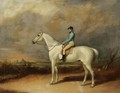 The Racehorse Pilot - (after) Henry Alken