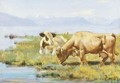 Cows At Lakeshore - Ferdinand Hodler