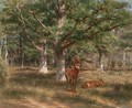 Two Deer In A Forest Glade - Rosa Bonheur
