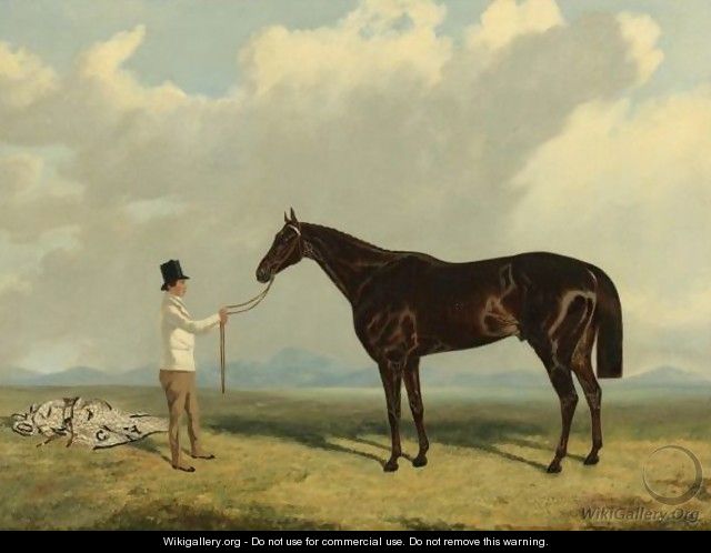 British, 19th Century Retriever, A Liver Chestnut Being Held By A Groom - John Wray Snow