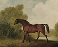 Ambrosio, A Bay Stallion, The Property Of Thomas Haworth - George Stubbs