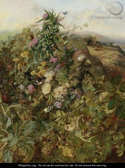 Wild Raspberries And Thistles - John Wainwright