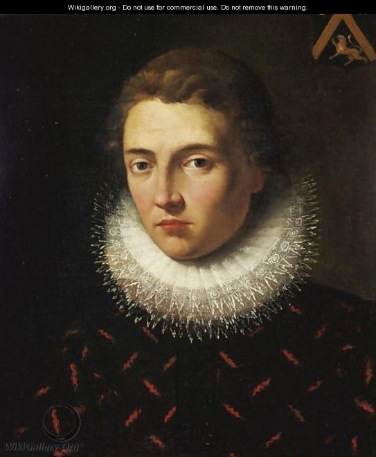 Portrait Of A Young Man - Flemish School