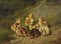 Baby Chicks - Arthur Fitzwilliam Tait