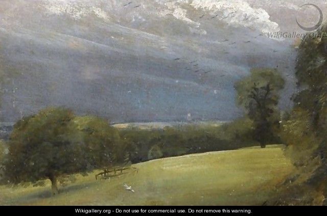 View Across The Lawn At West Lodge, Stratford St Mary, Near East Bergholt - John Constable
