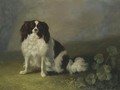 A King Charles Spaniel In A Landscape - Jakob Philippe Hackert